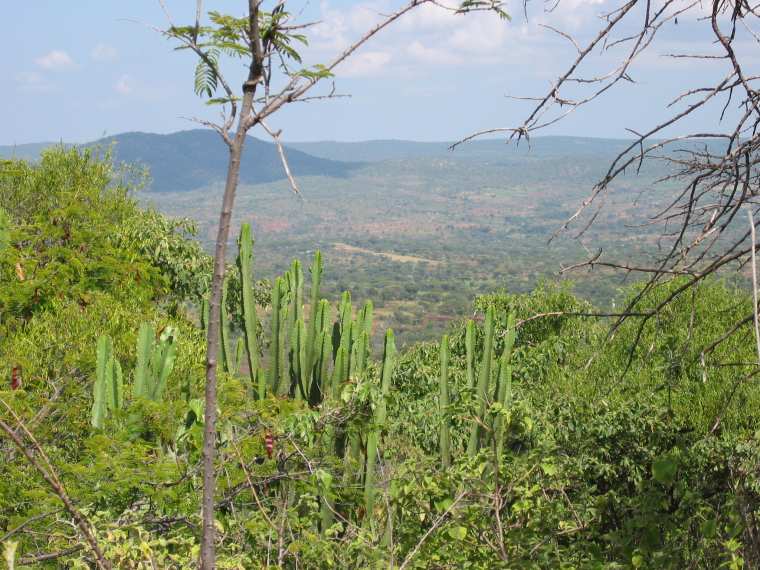 View Above Alale