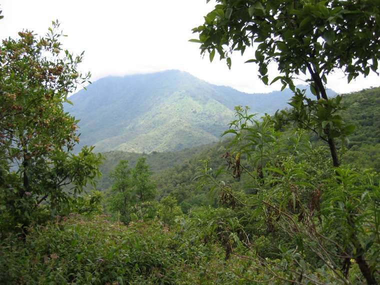 View Above Alale