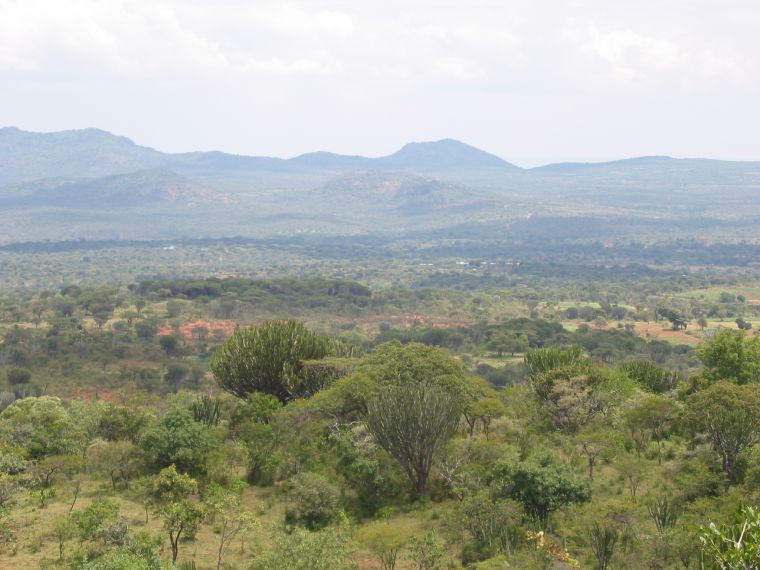 View of Plain around Alale